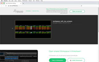 Example of thinkorswim Shareable Links webpage.